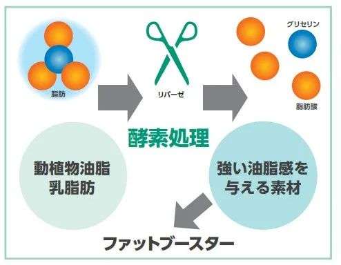 透過日本食品機械原輔料大賞，看底層技術如何推動產業前行